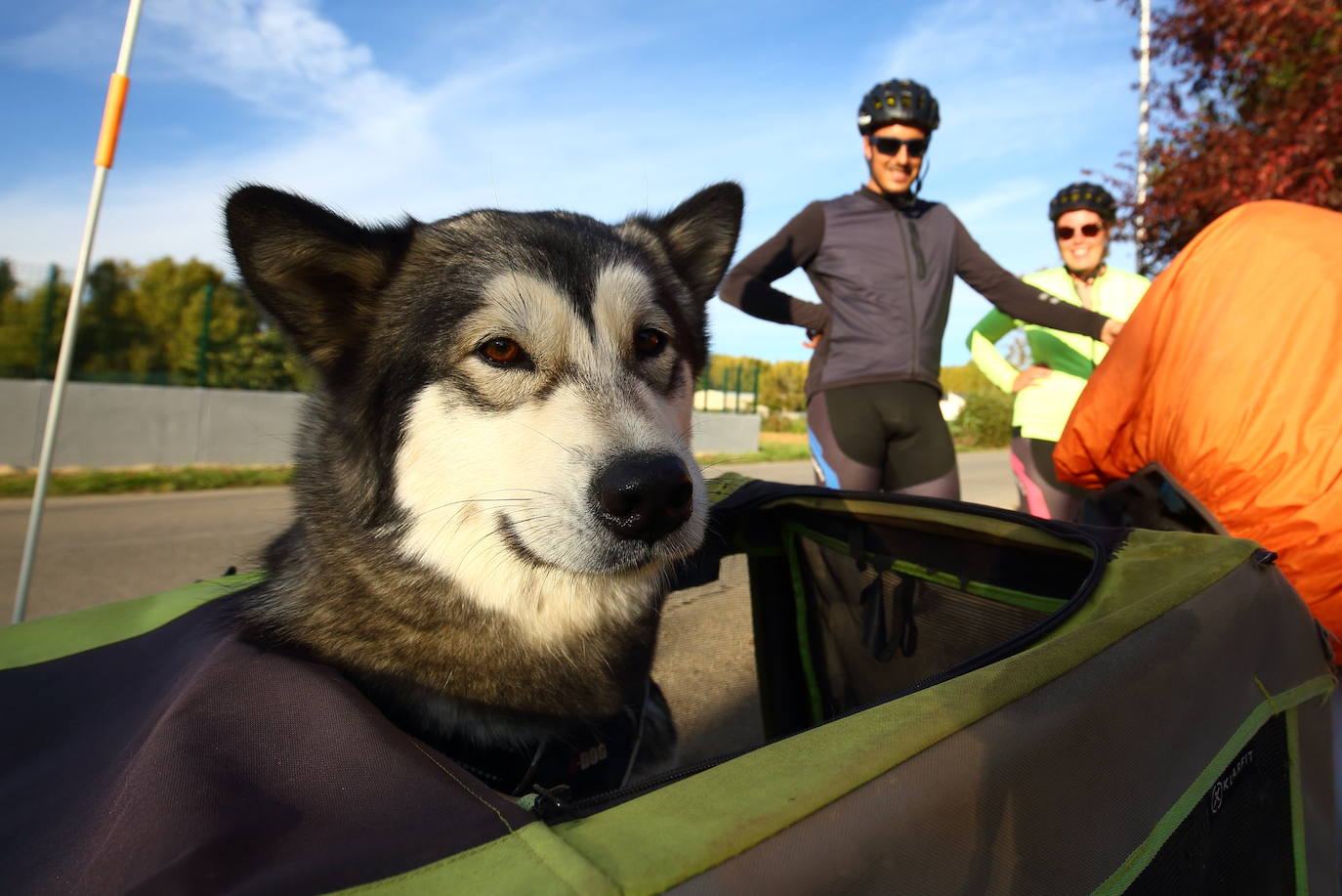 Una pareja de peregrinos franceses incluye el Camino de Santiago en su gira de dos años por Europa a lomos de sendas bicicletas y portando junto a ellos a su perra Praline.