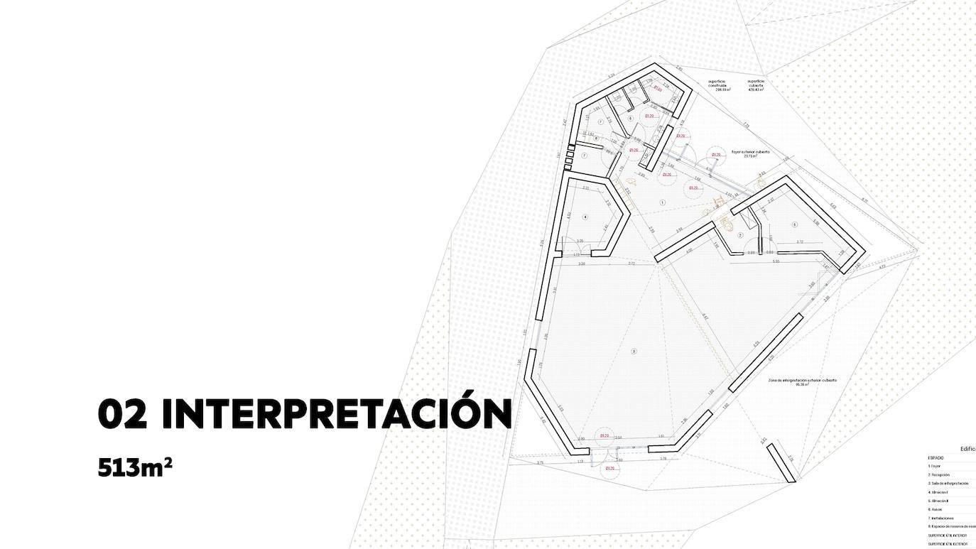 Comparecencia sobre el yacimiento arqueológico de Lancia.