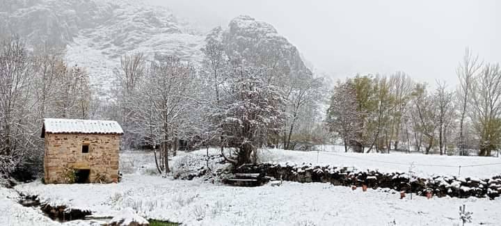 La nieve llega a la provincia de León. (Cubillas de Arbás) 