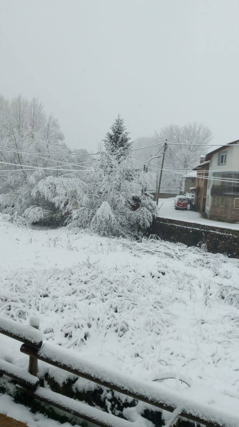 La nieve llega a la provincia de León. (Tolibia de Arriba) 