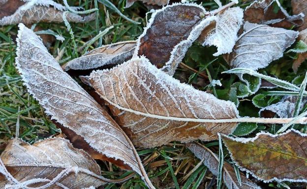 Las temperaturas bajan acercándose a los cero grados y podrían dejar heladas en algunos puntos de la provincia. 