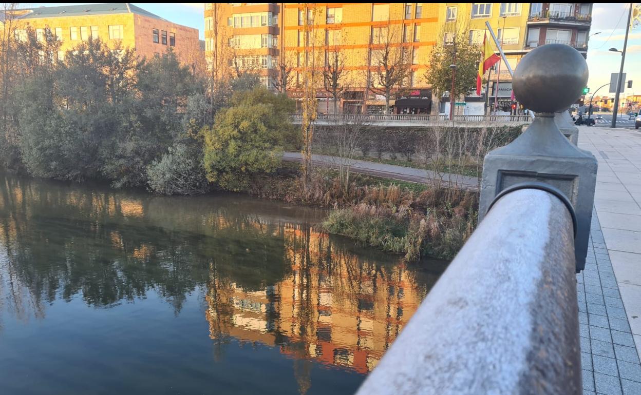 La escarcha llegó también a León capital durante esta pasada madrugada.