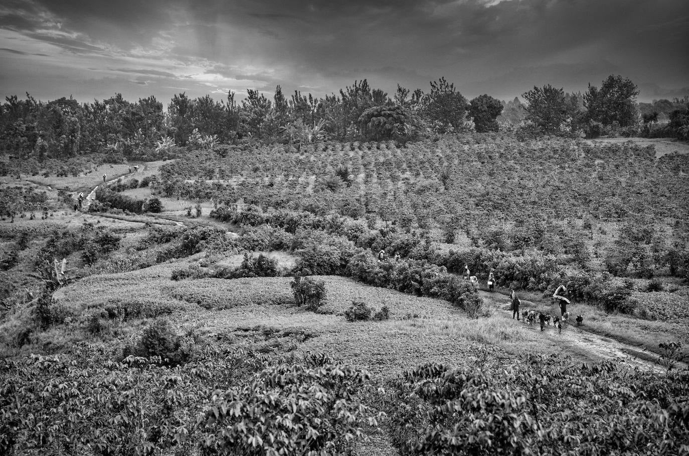 Una ONG de Castilla y León lleva la esperanza a uno de los territorios más castigados de Congo construyendo la única fábrica de la zona especializada en la producción de azúcar, pan y harina de maíz.