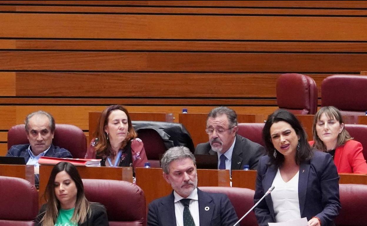 La procuradora del PSOE Alicia Palomo