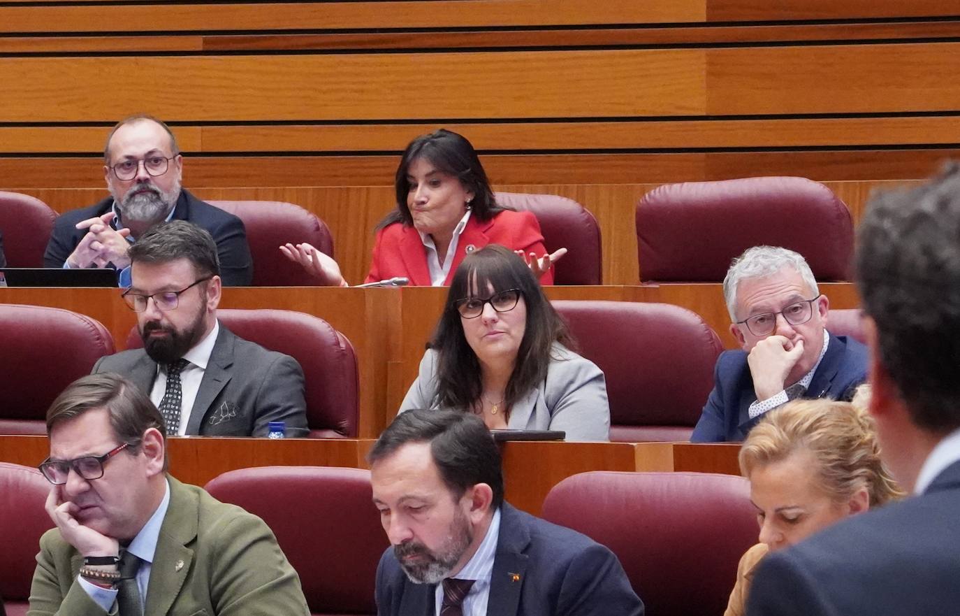 El presidente de la Junta de Castilla y León, Alfonso Fernández Mañueco, y el vicepresidente, Juan García-Gallardo, en el Pleno de las Cortes.