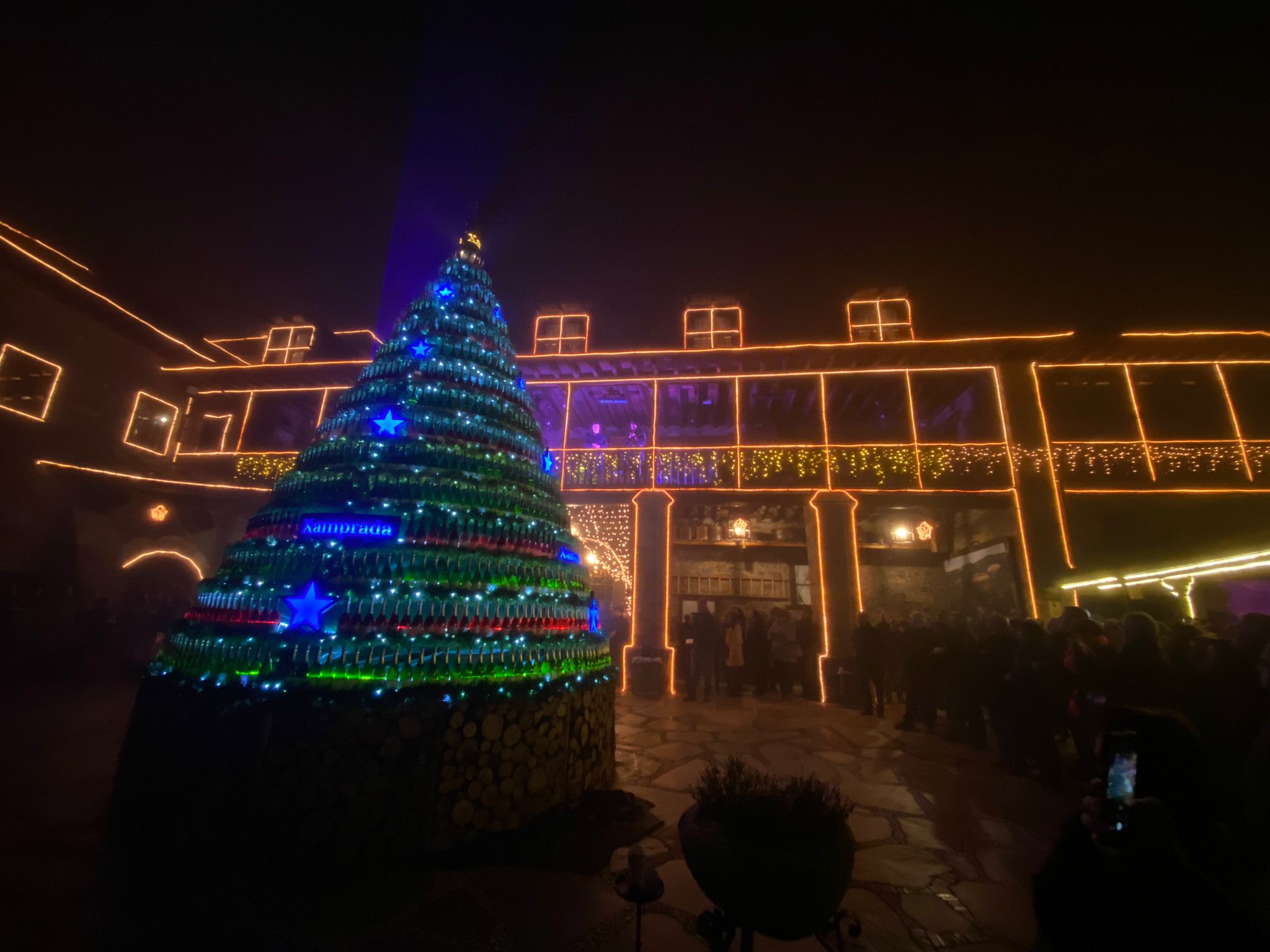 Cumpliendo con la tradición y como cada Navidad el Palacio de Canedo se ha convertido este 1 de diciembre en un auténtico monumento de luz, color y sentimiento | Más de un kilómetro y medio de luces led iluminan el medio siglo de Prada 'A tope'.