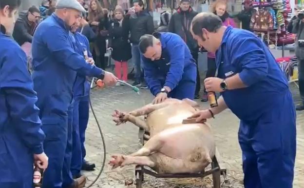 Los visitantes pudieron ver in situ la matanza de un cerdo en Riaño.