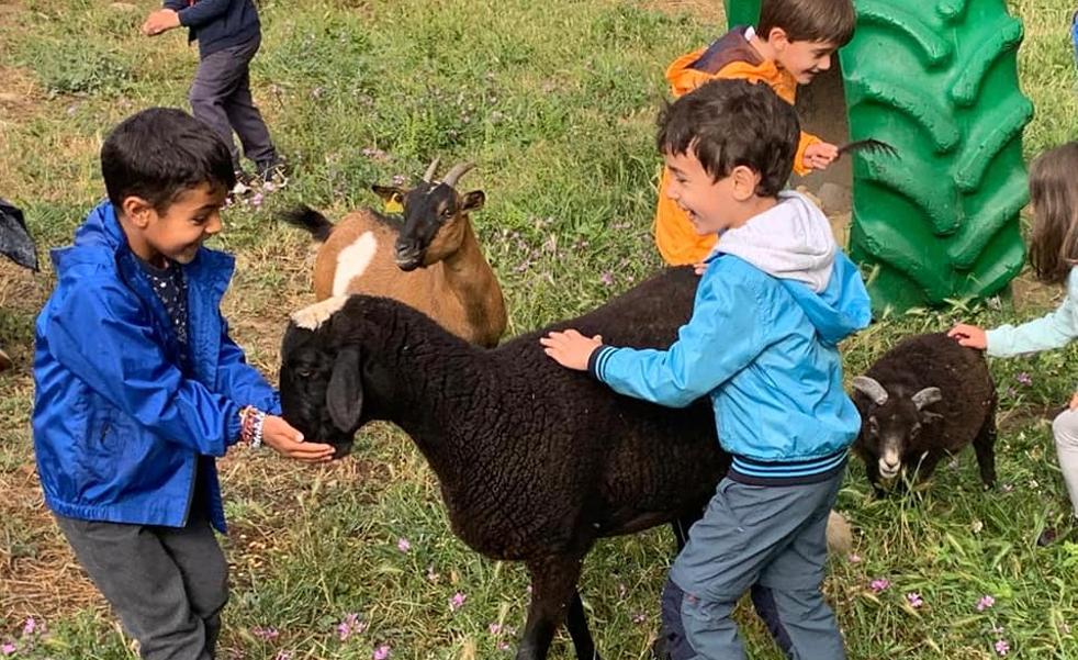 Los alumnos de los colegios rurales aprenden, directamente, del entorno