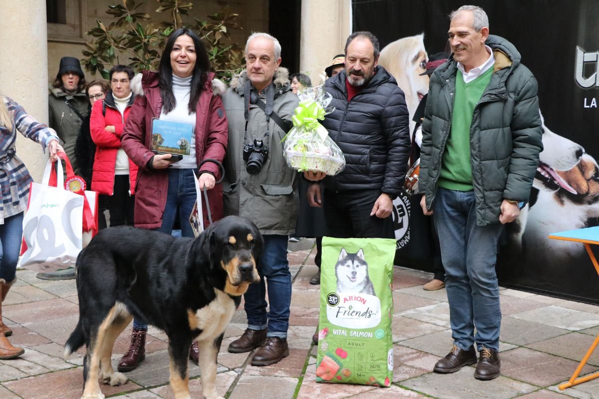 Fotos: Entrega de premios del XXIX Campeonato de León de mastines