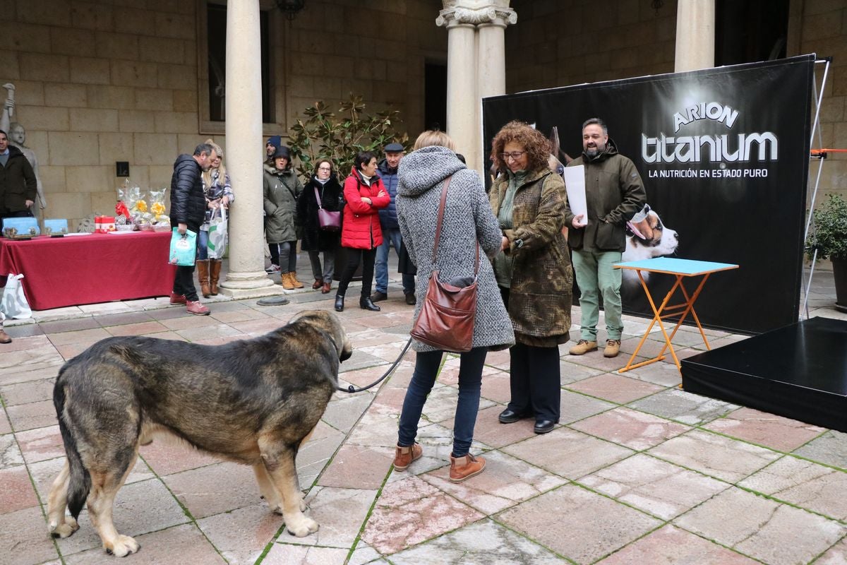 Fotos: Entrega de premios del XXIX Campeonato de León de mastines