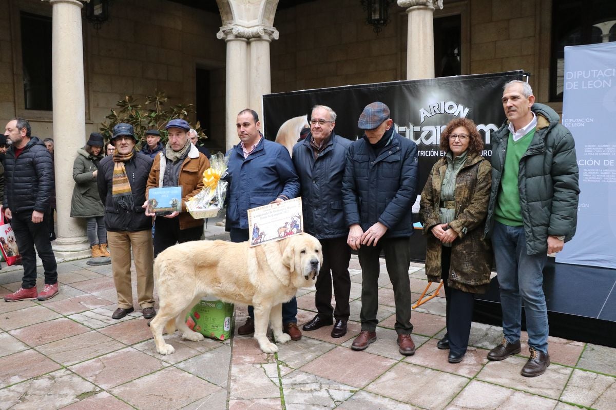 Fotos: Entrega de premios del XXIX Campeonato de León de mastines