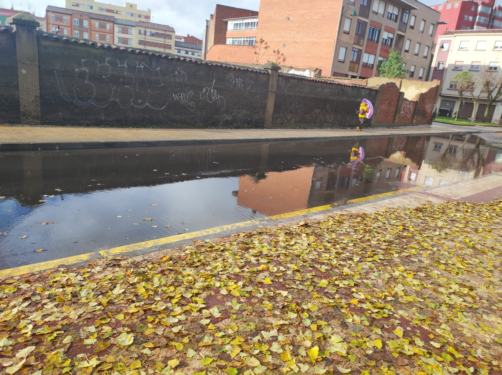 Fotos: Una gran balsa de agua en el acceso a la rotonda del Palacio de Exposiciones