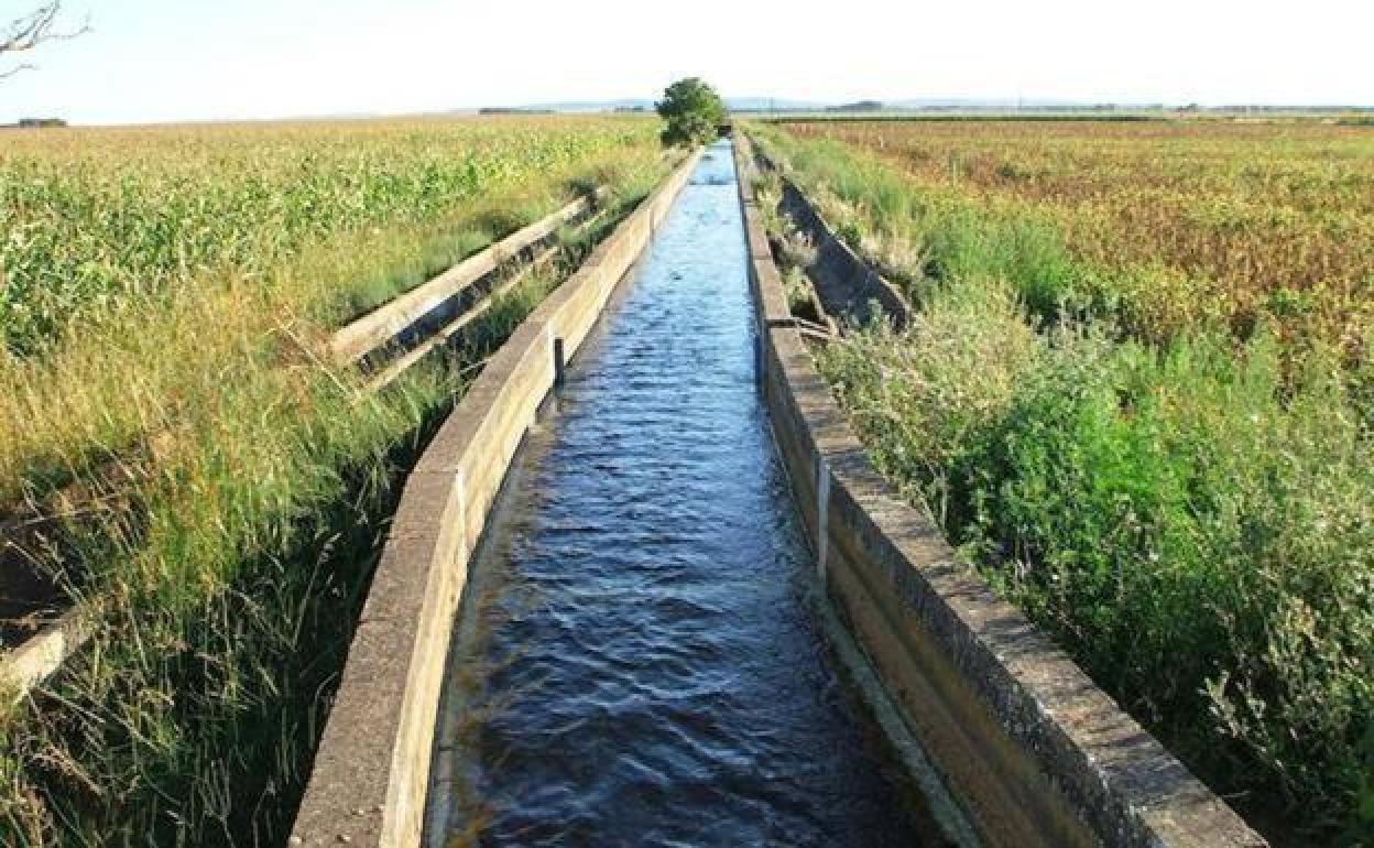 Las obras contarán con cofinanciación del Fondo Europeo Agrícola de Desarrollo Rural. 