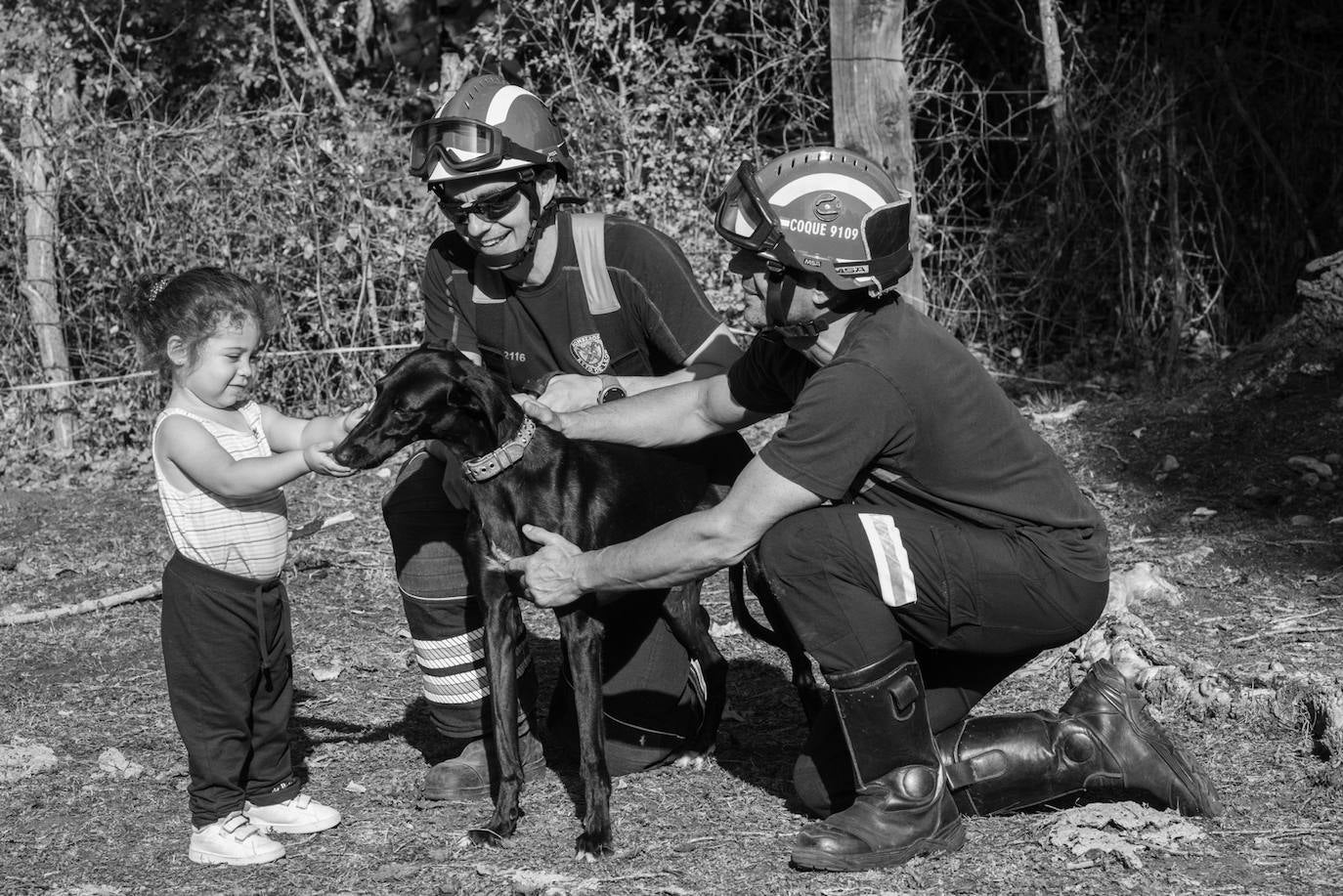 Los bomberos de la capital lanzan un calendario a beneficio de la Asociación Protectora de Animales y Plantas de León. Los profesionales del servicio de extinción de incendios pretenden concienciar sobre la necesidad de cuidar a los animales. 