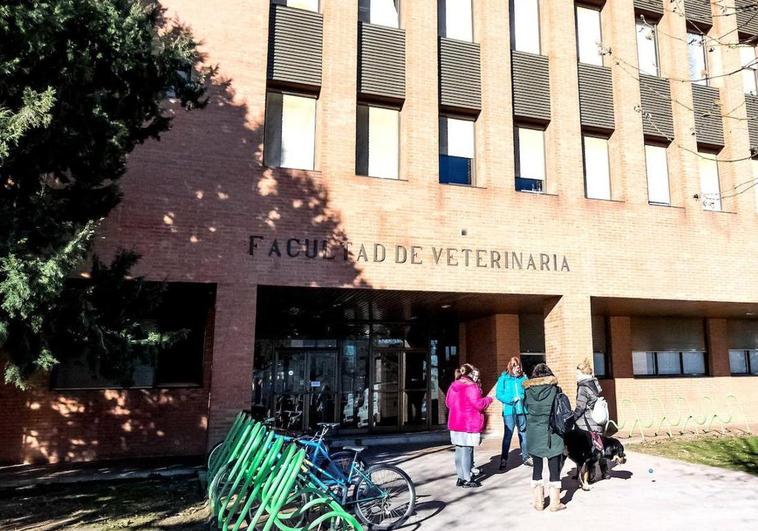 La Universidad de León tiene la facultad más cara de España para estudiar Veterinaria