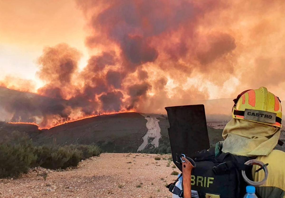 Bomberos forestales y el sindicato UGT advirtieron hoy del estrés hídrico que sufre la vegetación en la Comunidad.