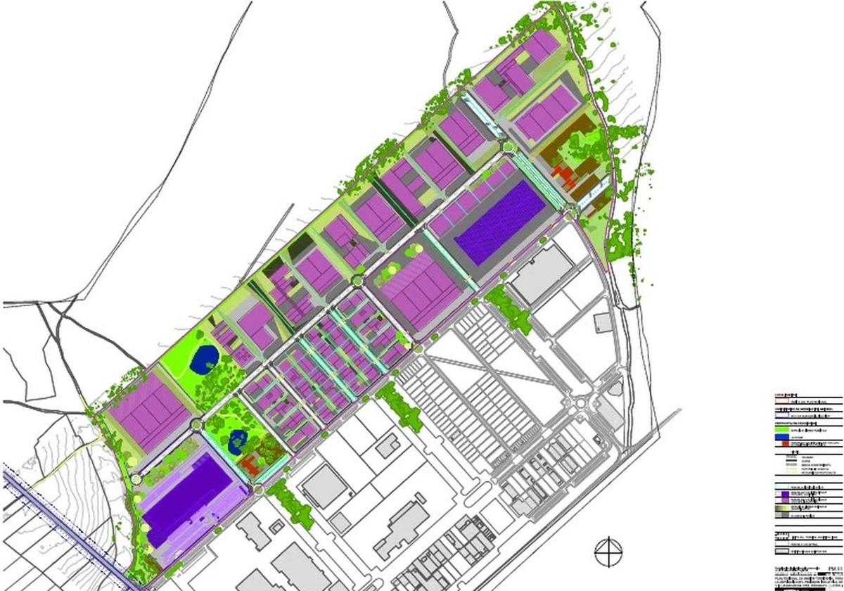 Se desarrollará, igualmente, un programa de vigilancia ambiental