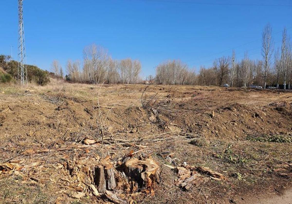 Aseguran que se comprueba fácilmente que los árboles talados junto al parque de La Candamia, se encontraban en suelo urbanizable