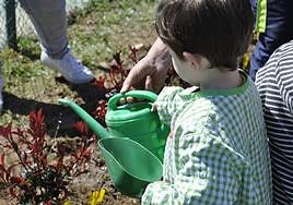 Los alumnos del Colegio de Valencia de Don Juan plantan 75 árboles por el Día de los Bosques que se celebra este 21 de marzo