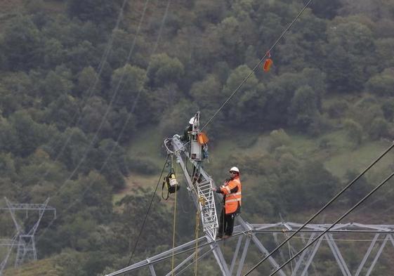 Funcionarios de Red Eléctrica instalando protectores para os quebrantahuesos.