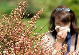 La llegada de la primavera acarrea la aparición de las alergias más habituales.