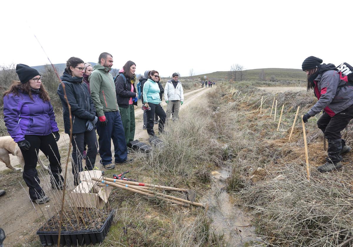 La plantación de este sábado correrá a cargo de un centenar de voluntarios que participarán en la iniciativa 'Fantástico Bosque.