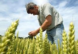 Agricultores y ganaderos alcanzan el pleno empleo técnico en 2022