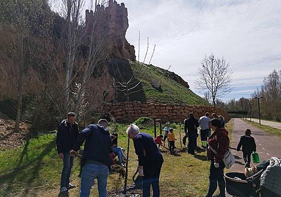 Participantes de la plantación de nuevos árboles en Valencia de Don Juan