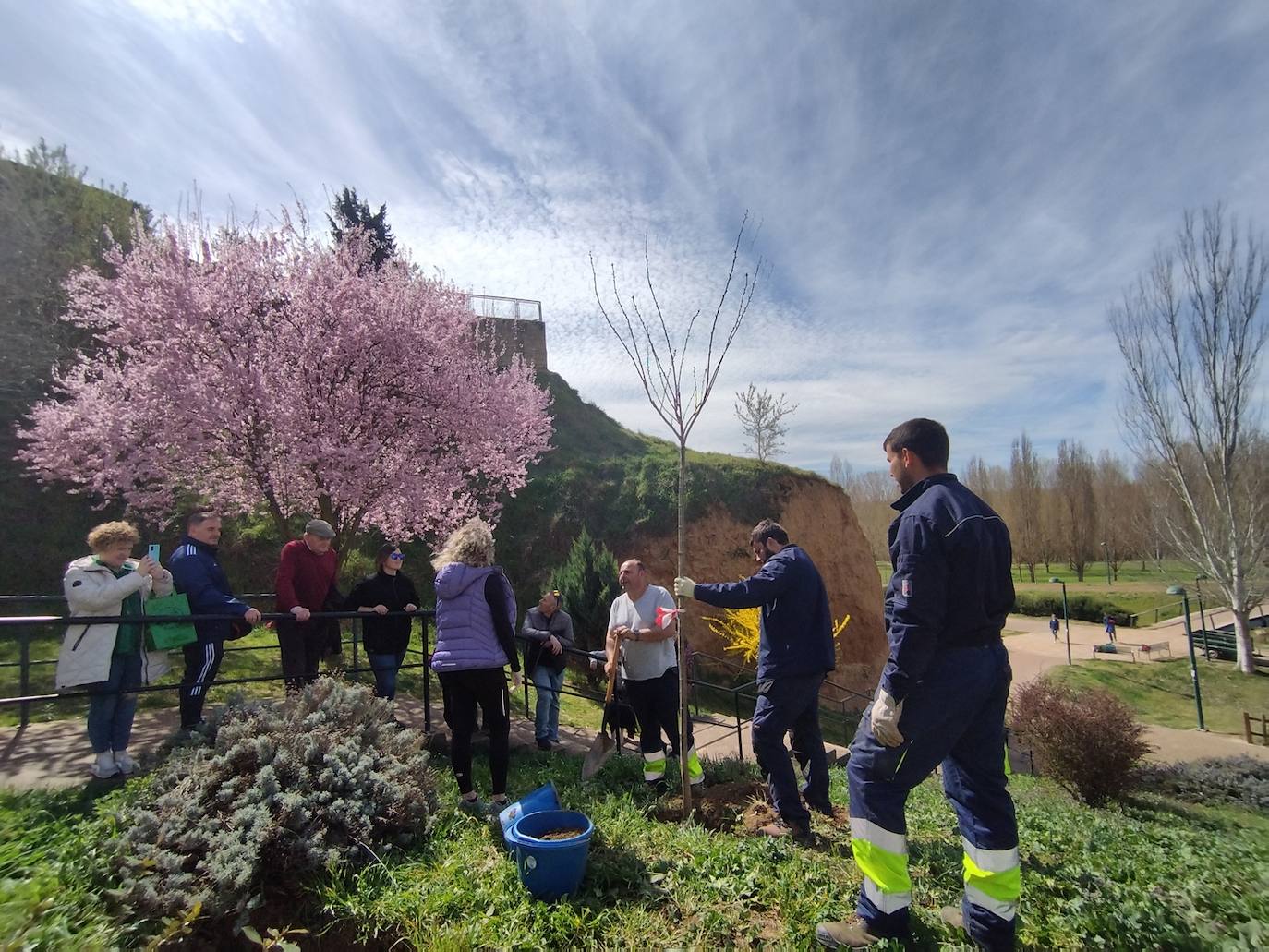 Nuevos árboles en el paseo del río de Valencia de Don Juan