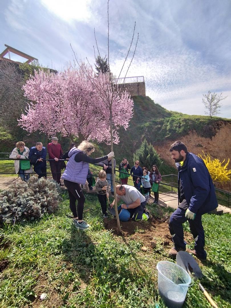 Nuevos árboles en el paseo del río de Valencia de Don Juan