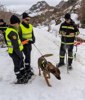 Imagen secundaria 2 - Efectivos del BIEM V de la UME realizan un ejercicio de instrucción de rescate de víctimas tras una avalancha de nieve. 