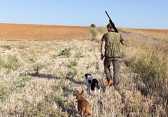 Imagen de un cazados con sus perros.