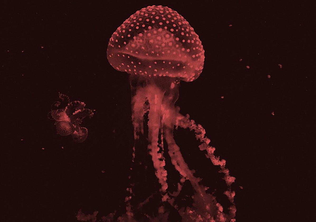 Cartel del III Certamen de Nueva Creación y Exposición Fotográfica 'Expositivos 23'