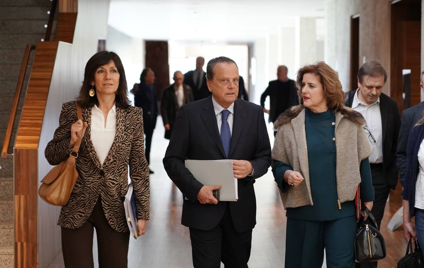 El presidente del Consejo de Cuentas comparece en la Comisión de Economía y Hacienda de las Cortes