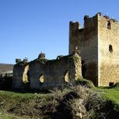 Castillo de Villapadierna, en Cubillas de Rueda