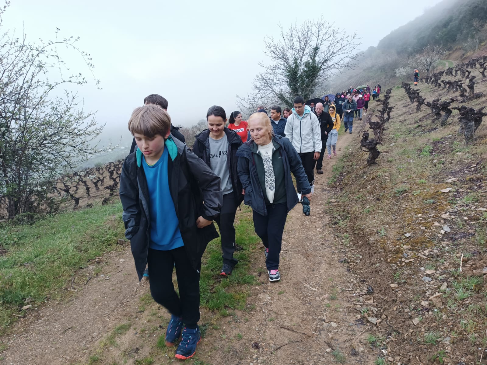 Ruta por la Calidad de El Bierzo