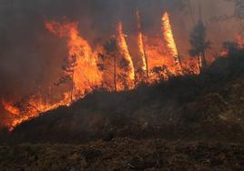 Incendios en Asturias.