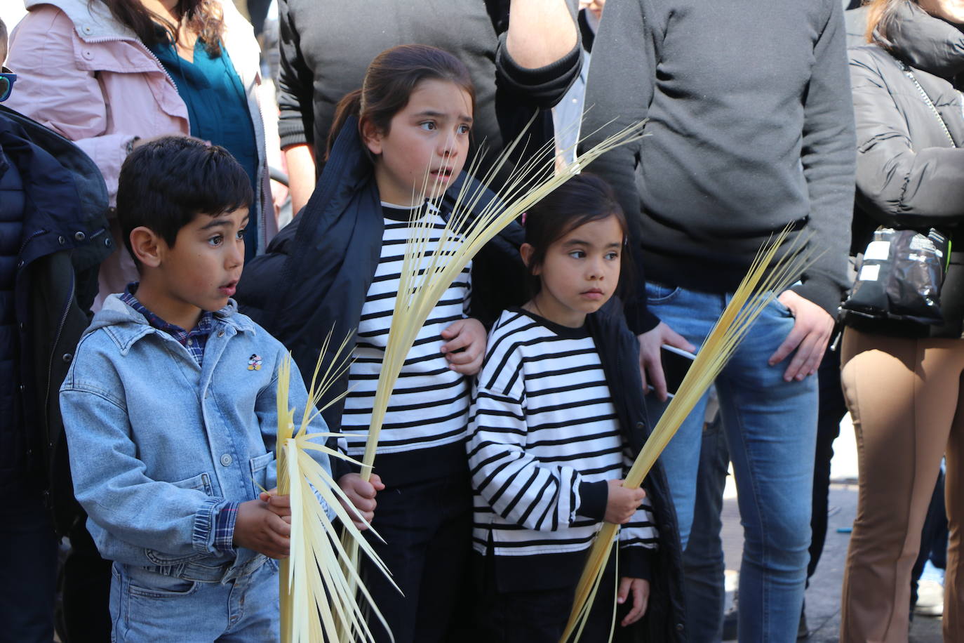 Procesión de las Palmas en León