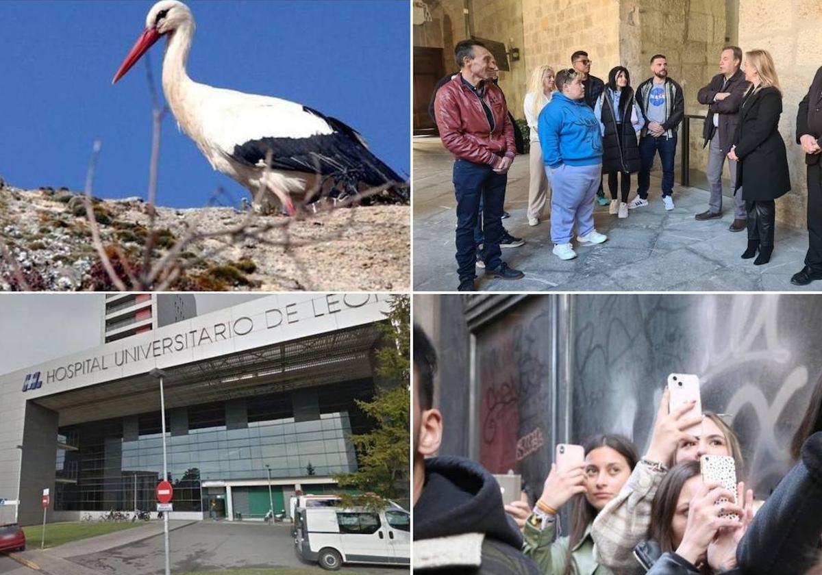 Las noticias del día en León y provincia.