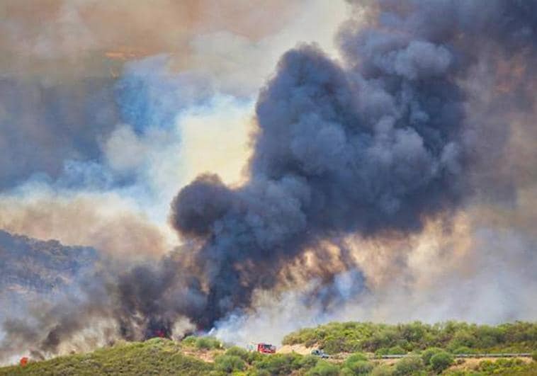 Cultura cancela el concierto solidario de la Sierra de la Culebra.