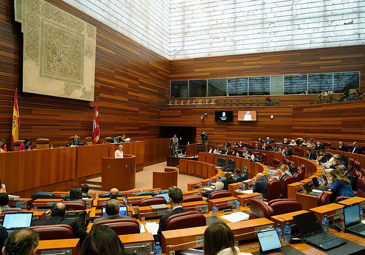 Imagen del último pleno en Cortes.
