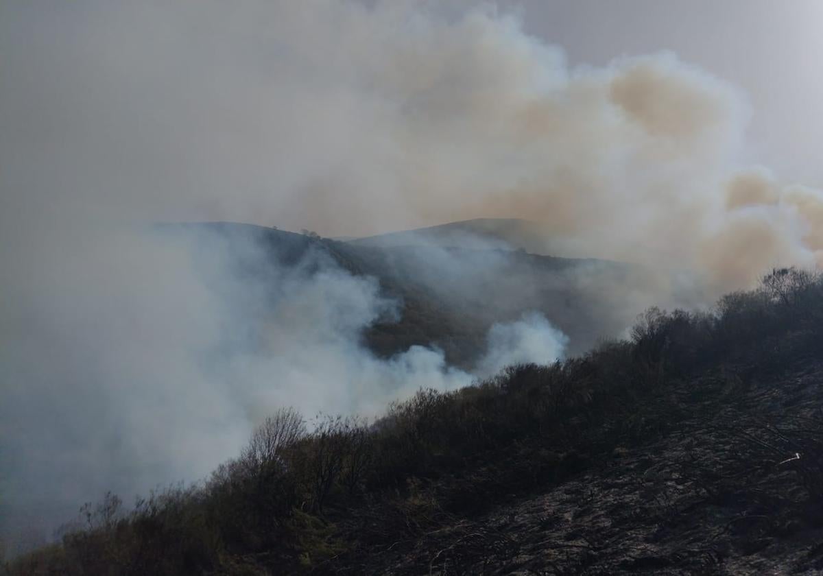 Imagen del incendio en Tonín de Arbás.