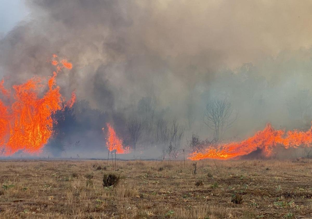 Incendio en Castilla y León.