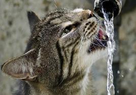 León disfruta este martes de su última jornada de calor.