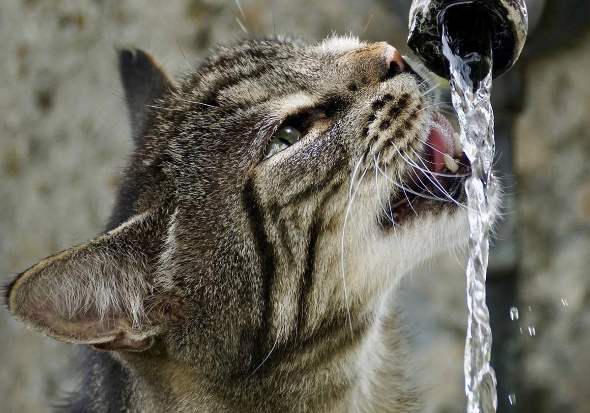 León disfruta este martes de su última jornada de calor.