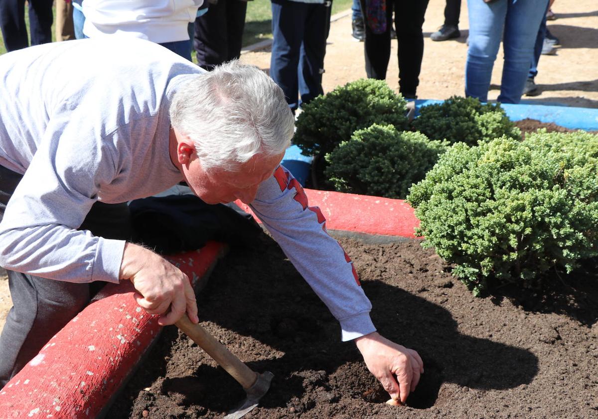 Un miembro de Parkinson León planta un tulipán en el parque frente a la sede de la Asociación por el día mundial de la enfermedad de Parkinson.