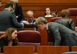 Los procuradores durante el pleno de las Cortes.