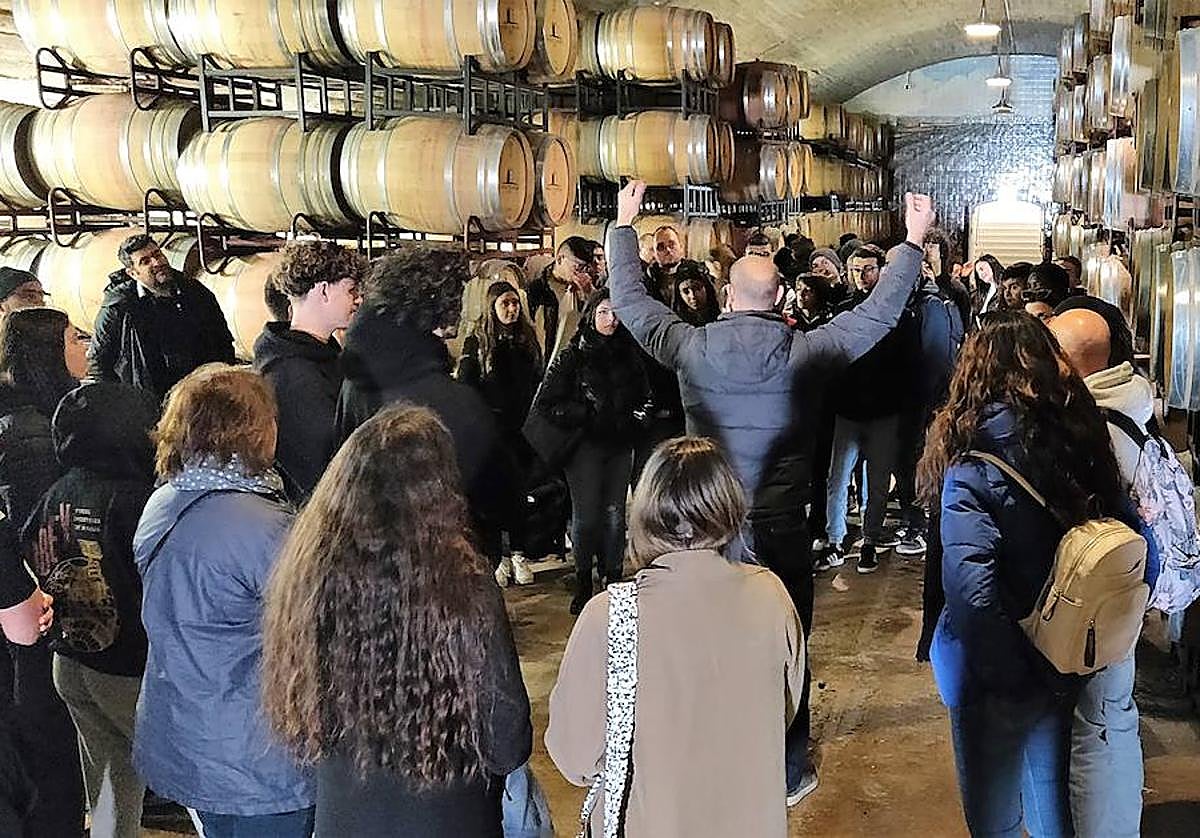 Visitas a diferentes empresas vitivinícolas dentro de este proyecto.