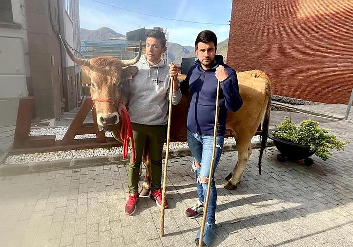 Baldo López junto a su pareja y una de sus vacas emprenden el camino hacia León.