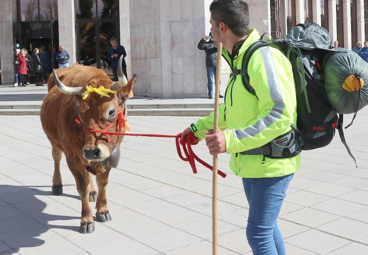 &#039;Mariposa&#039; llega a la Junta para reivindicar los derechos de Baldo